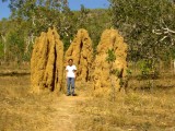 Termite Mound [Kakadu Natl Park] * 1280 x 960 * (557KB)